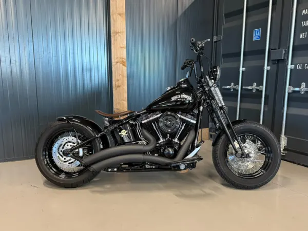 2010 Harley-Davidson Cross Bones Flstsb - € 19.950 (1/1)