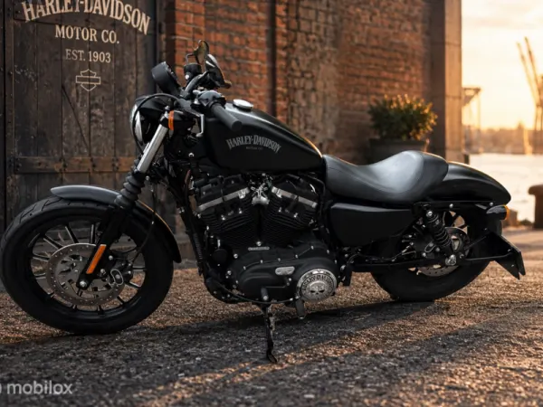 2015 Harley-Davidson Sportster XL 883 - € 7.000 (1/1)