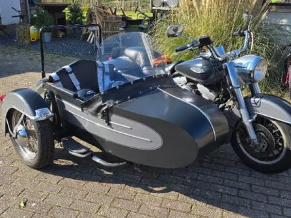 1985 Harley-Davidson Electra Glide - €10,000 · Bidding (1/1)