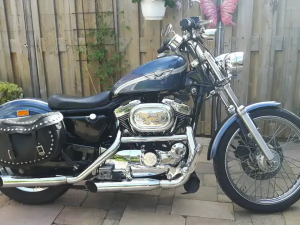 2002 Harley-Davidson 1200 Custom - € 7.000 (1/1)