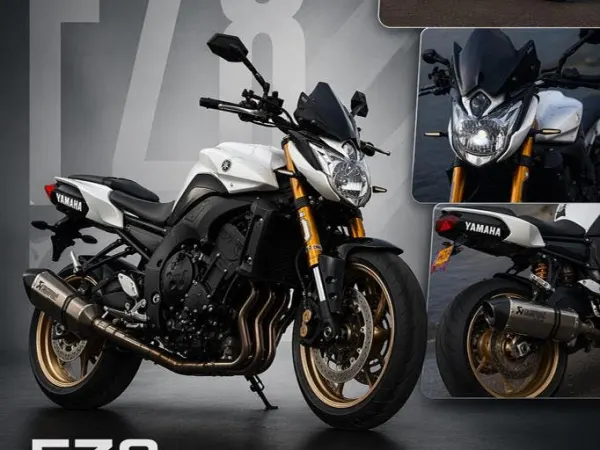 2011 Yamaha FZ 8 - €5,000 · Bidding (1/1)