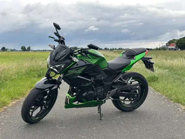 2015 Kawasaki Z 300 - €3,750 (1/1)