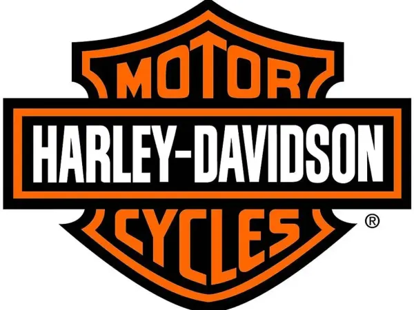 2021 Harley-Davidson LiveWire - €16,900 (1/1)
