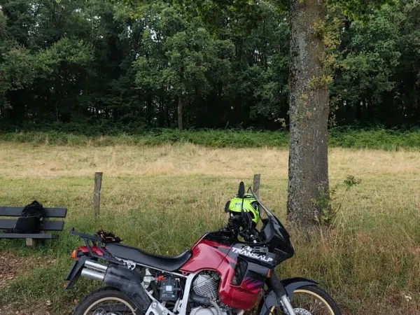 Year unknown Honda Transalp 600V Rally Touring-Avontuurlijke Toermotor - Bidding (1/1)