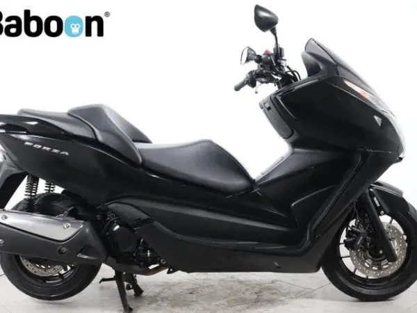 2013 Honda Forza 300 - € 1.495 (1/1)