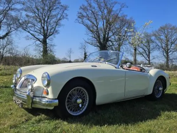 1959 MGA 1600 1959 Dutch Registration Papers - € 27.500 (1/1)
