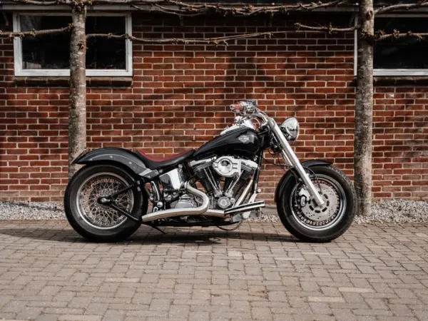 1991 Harley-Davidson Softail Custom Fxstc (bj 1991) - €16,750 (1/1)