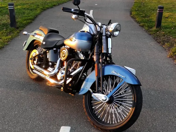 2005 Harley-Davidson Heritage Springer Flsts - € 9.500 (1/1)