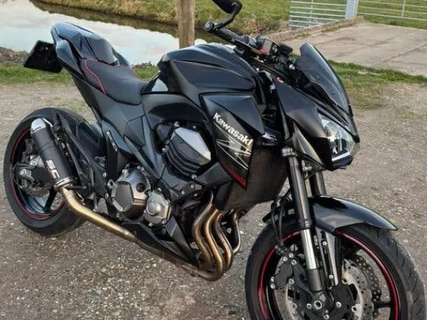 2014 Kawasaki Z 800 - Bieden (1/1)