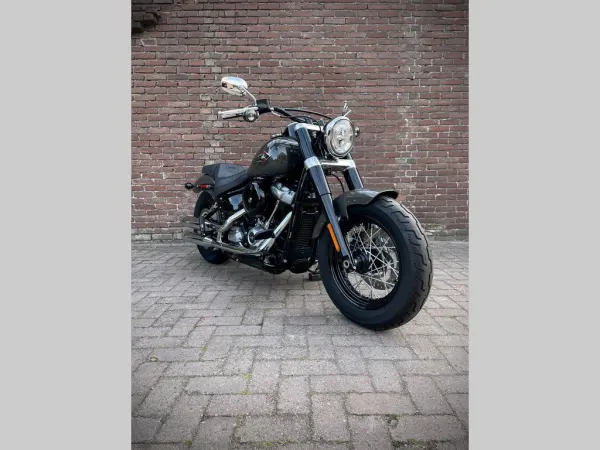 2020 Harley-Davidson Softail Slim Flsl - €19,950 (1/1)
