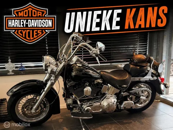 2002 Harley-Davidson Softail - €6,450 (1/1)