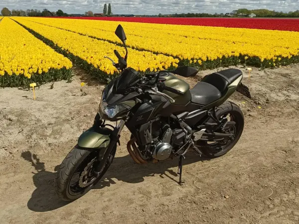 2017 Kawasaki Z 650 - €4,999 (1/1)