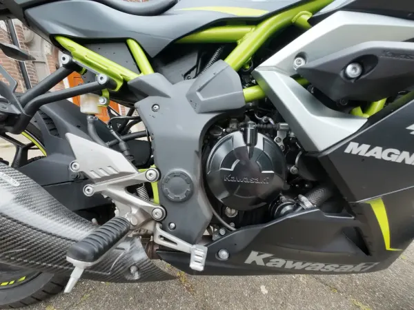 2019 Kawasaki Ninja 125 - € 4.000 (1/1)