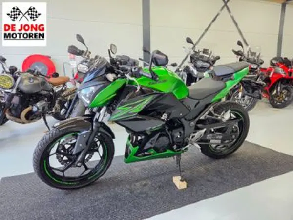 2016 Kawasaki Z 300 Performance - € 3.950 (1/1)