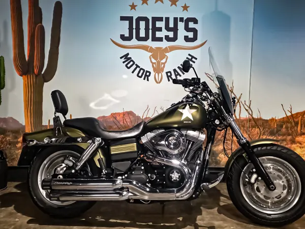 2012 Harley-Davidson Fxdf , Fat Bob - € 13.450 (1/1)