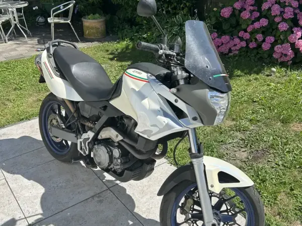 2006 Aprilia Pegaso 650 - € 1.750 (1/1)