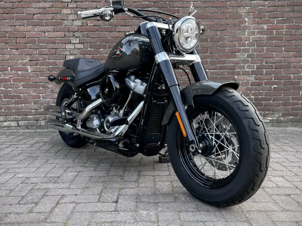 2020 Harley-Davidson Flsl Softail Slim - € 19.950 (1/1)