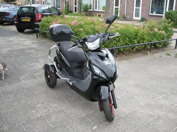 Bouwjaar onbekend Nipponia Pride - € 2.995 (1/1)