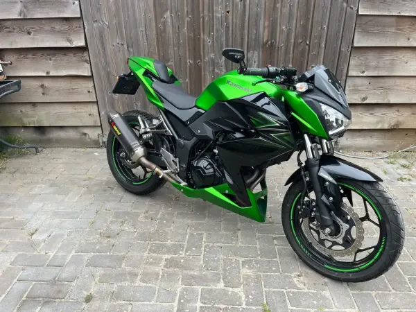 2017 Kawasaki Z 300 - € 4.000 (1/1)