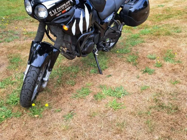 Bouwjaar onbekend Triumph Tiger 955i - Bieden (1/1)