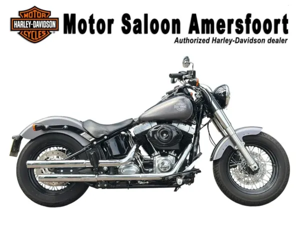 2015 Harley-Davidson Softail Slim FLS - € 14.950 (1/1)