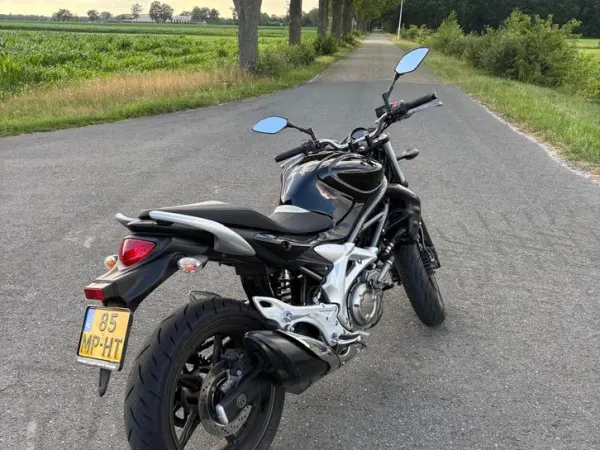 Year unknown Suzuki Gladius 650 - €3,500 · Bidding (1/1)