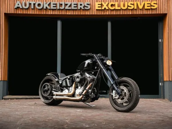 2002 Harley-Davidson Big Twin shp Elsdorf Harley Davidson Project - €27,900 (1/1)