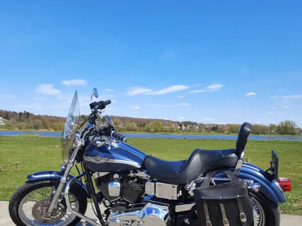 2003 Harley-Davidson FXD - € 7.500 · Bieden (1/1)