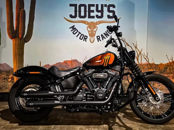 2021 Harley-Davidson FXBBS, Street Bob - € 18.450 (1/1)
