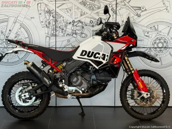 2024 Ducati Desertx Rally - € 17.450 (1/1)