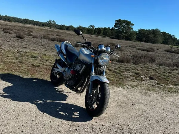 1998 Honda CB600F Hornet - €1,800 · Bidding (1/1)