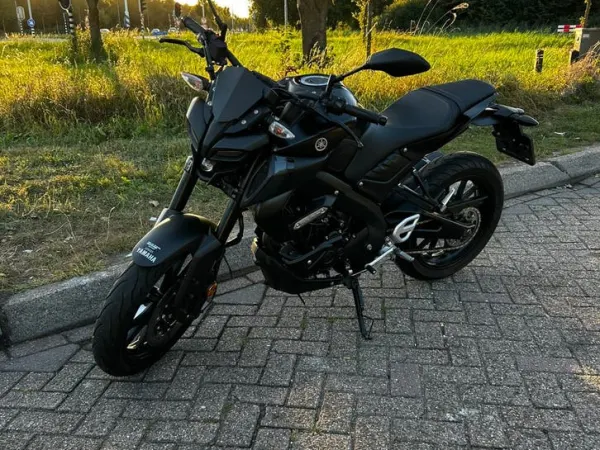 2022 Yamaha MT 125 - Bidding (1/1)