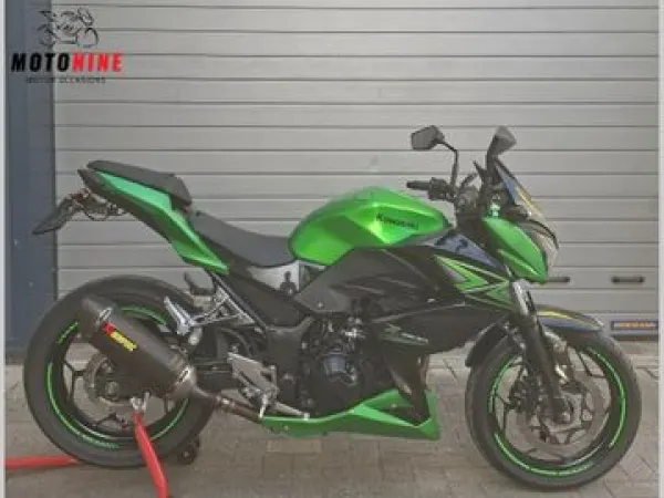 2015 Kawasaki Z 300 - € 3.999 (1/1)