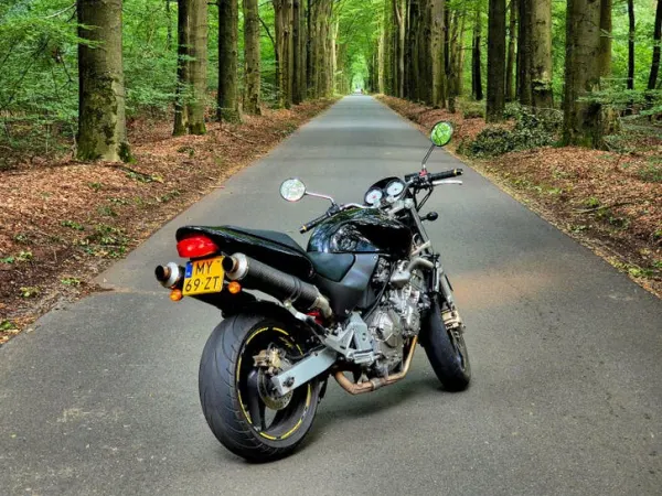 1998 Honda Hornet - Gereserveerd (1/1)