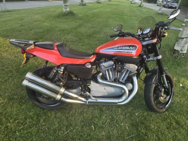 2009 Harley-Davidson XR 1200 - € 7.150 (1/1)