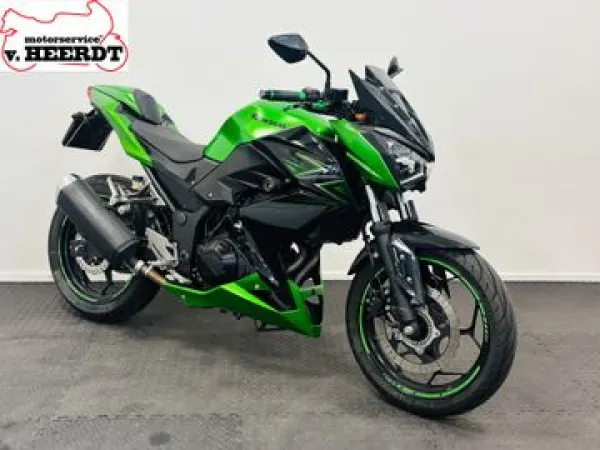 2016 Kawasaki Z 300 - € 3.950 (1/1)