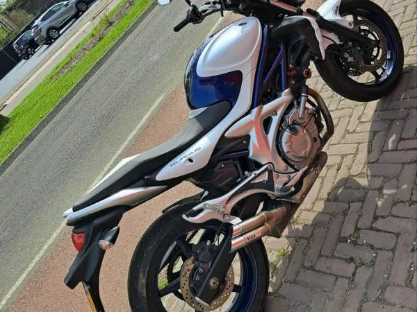 Year unknown Suzuki Gladius 650 - €3,000 (1/1)