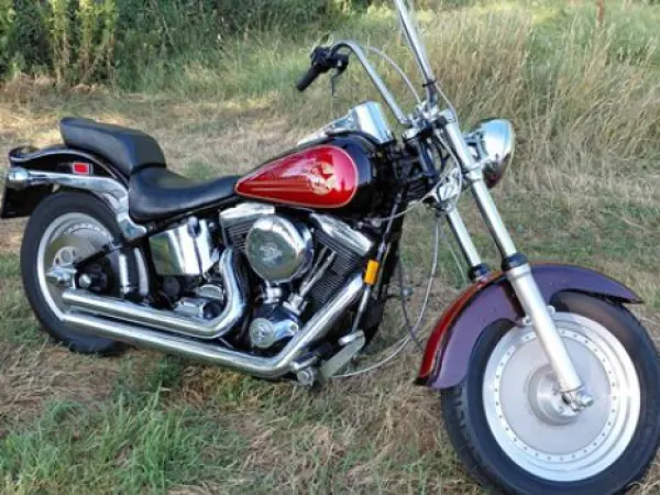 1992 Harley-Davidson Softail - €5,950 (1/1)