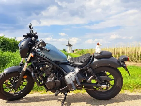 2020 Honda CMX 500 - € 5.750 · Bieden (1/1)
