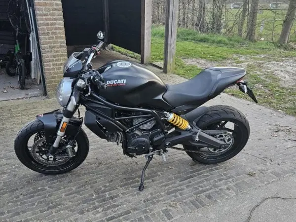 2017 Ducati Monster 797 - €5,200 · Bidding (1/1)