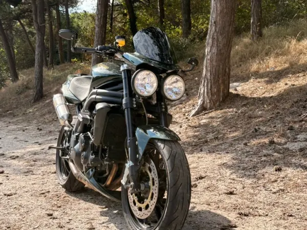 2010 Triumph Speed Triple 2010-Groen-Lage KM - € 5.990 · Bieden (1/1)