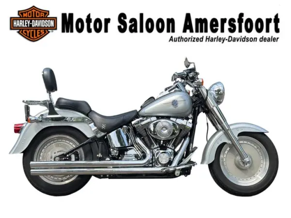 2004 Harley-Davidson Softail - € 10.950 (1/1)