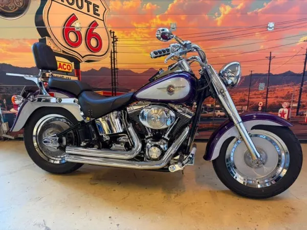2001 Harley-Davidson Flstf Mooie Fatboy 2001 - € 7.950 (1/1)