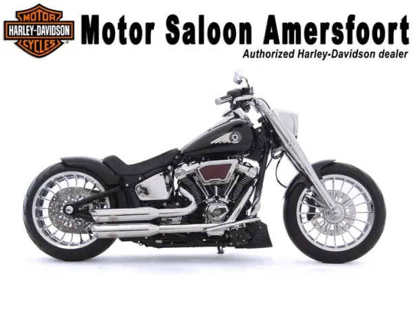 2026 Harley-Davidson Softail - € 58.950 (1/1)