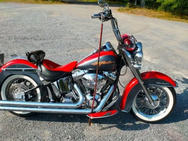 2006 Harley-Davidson Softail Deluxe - €10,500 (1/1)