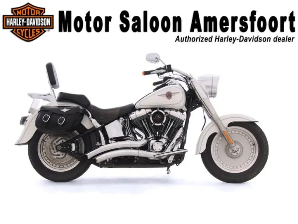 2001 Harley-Davidson Softail - € 9.950 (1/1)