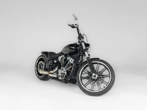 2018 Harley-Davidson Softail - €27,450 · Bidding (1/1)