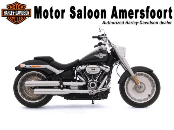 2018 Harley-Davidson Softail - €22,950 (1/1)