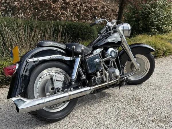 1973 Harley-Davidson Electra Glide - €9,499 · Bidding (1/1)