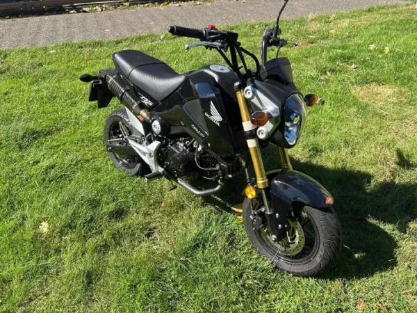 2017 Honda MSX 125 - € 2.999 · Bieden (1/1)